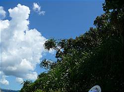 b0132630_11181464.jpg