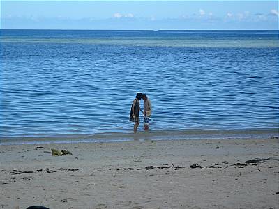 b0132630_11254754.jpg