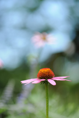 e0054635_9314351.jpg