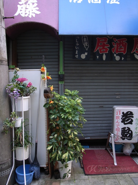 a0087341_10305860.jpg