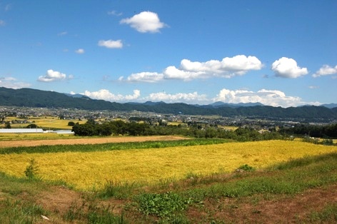 c0002943_22232368.jpg
