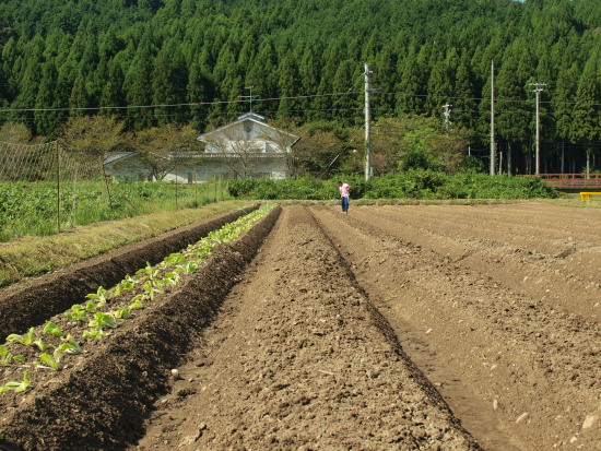 c0072843_19211026.jpg
