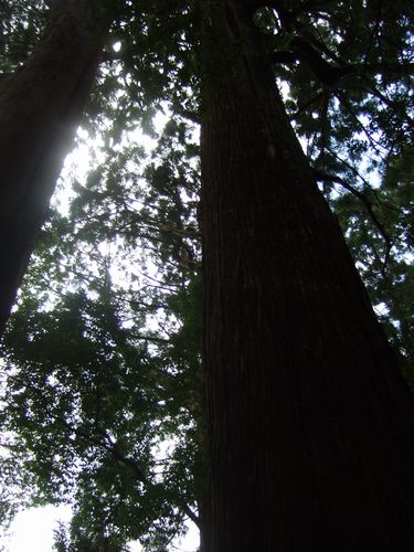 e0160246_1441142.jpg