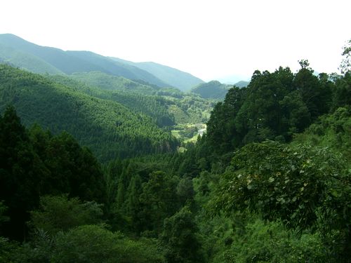 e0160246_1514737.jpg