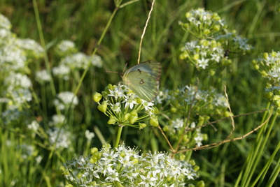 f0031546_20433123.jpg