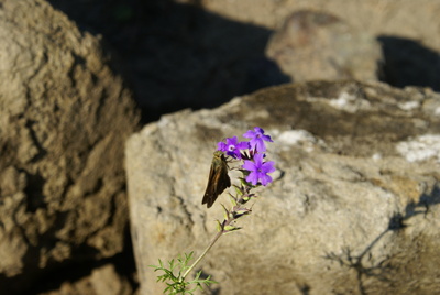 f0031546_20435190.jpg