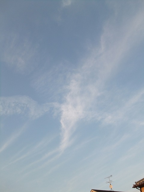 f0068649_211965.jpg