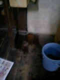 d0007957_23215964.jpg