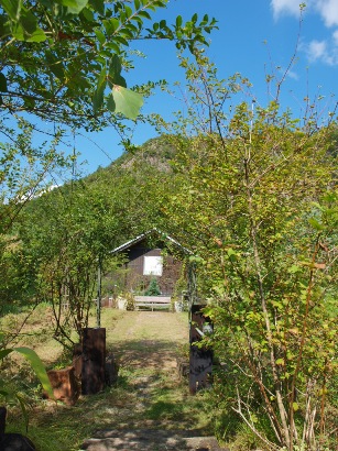d0111558_13554493.jpg