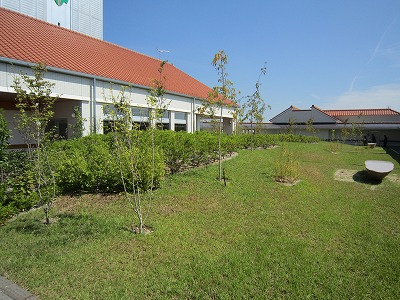 d0055259_12264549.jpg