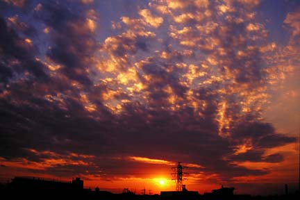 a0121671_16552012.jpg