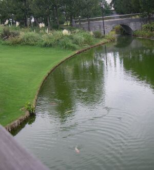 e0143671_12165911.jpg