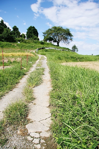 c0196076_20544281.jpg