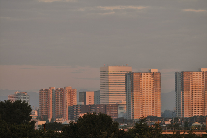 e0015377_20141278.jpg