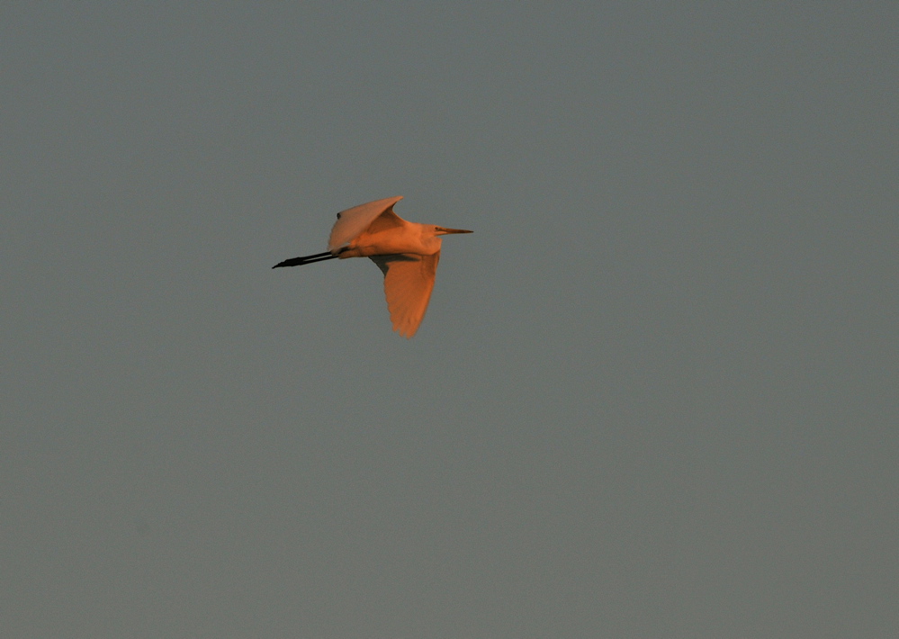 e0015377_20142313.jpg