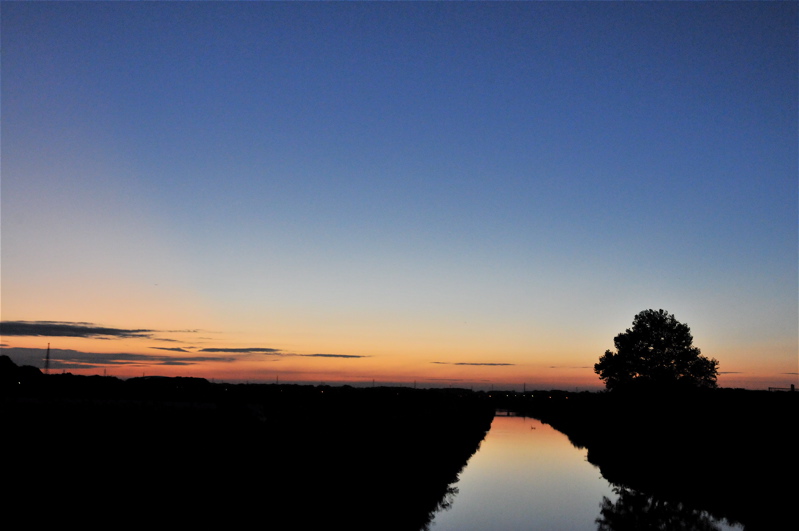 e0015377_20154149.jpg
