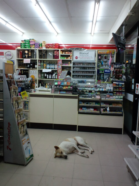f0131382_1383951.jpg