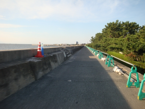 c0119891_23561814.jpg
