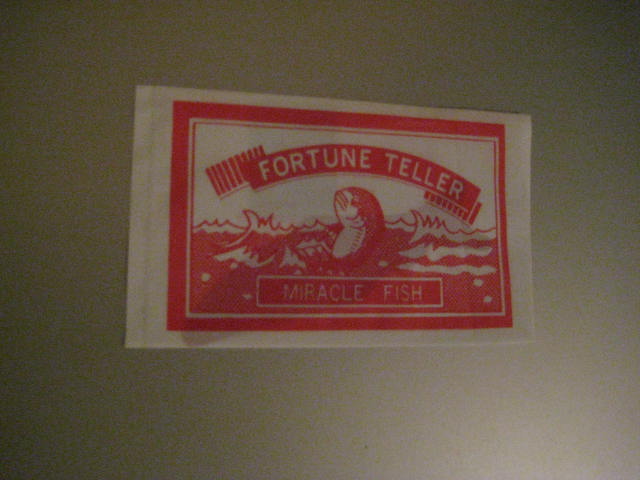 c0131206_314354.jpg