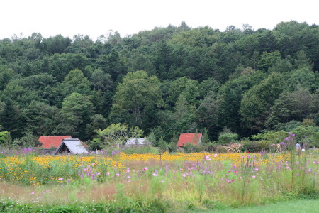 f0041606_2138143.jpg
