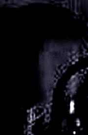 e0103408_20381358.gif