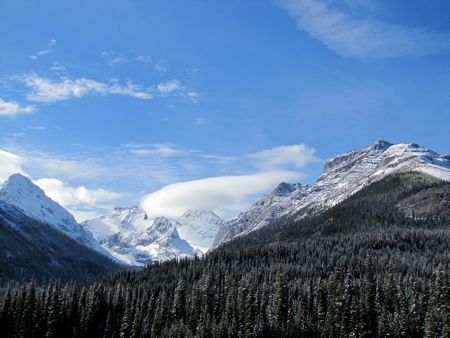 b0051109_14202956.jpg