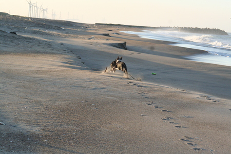 f0186509_1336271.jpg