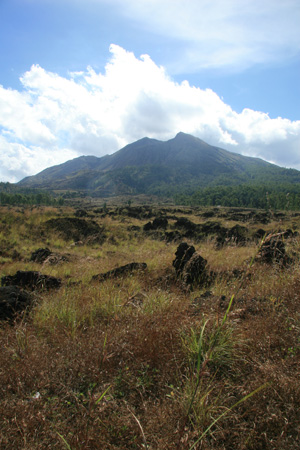 e0028811_1145277.jpg