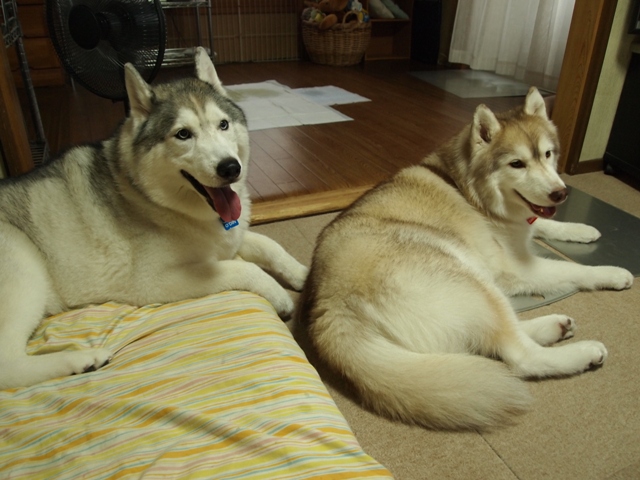 b0207615_9434422.jpg