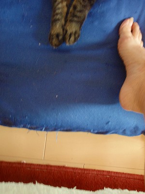 c0145016_10305795.jpg