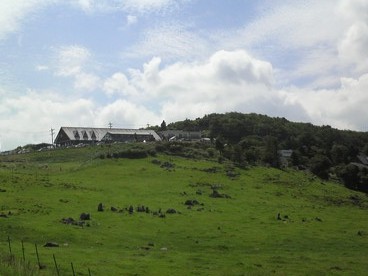 d0167422_1843201.jpg