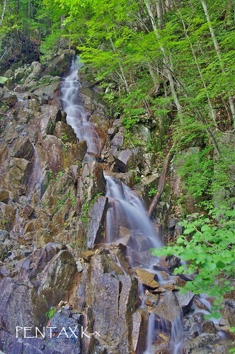 e0033926_944219.jpg