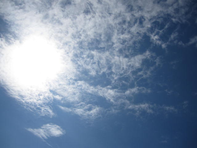e0191826_136232.jpg