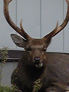 a0126128_20191817.jpg