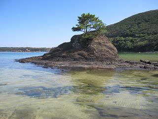 c0051529_10471495.jpg