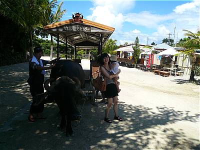 b0132630_0253520.jpg