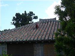 b0132630_0464531.jpg