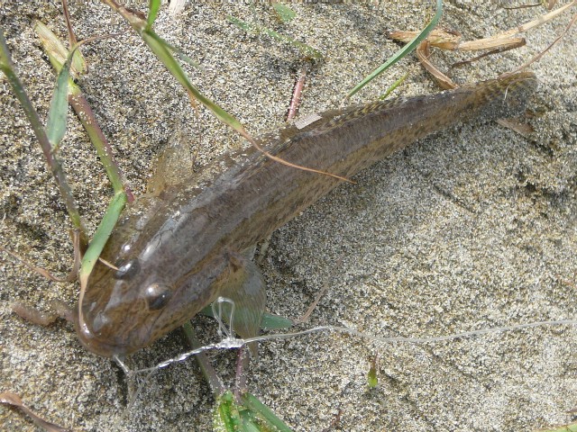 c0194535_11261966.jpg
