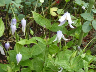 b0200240_18494066.jpg
