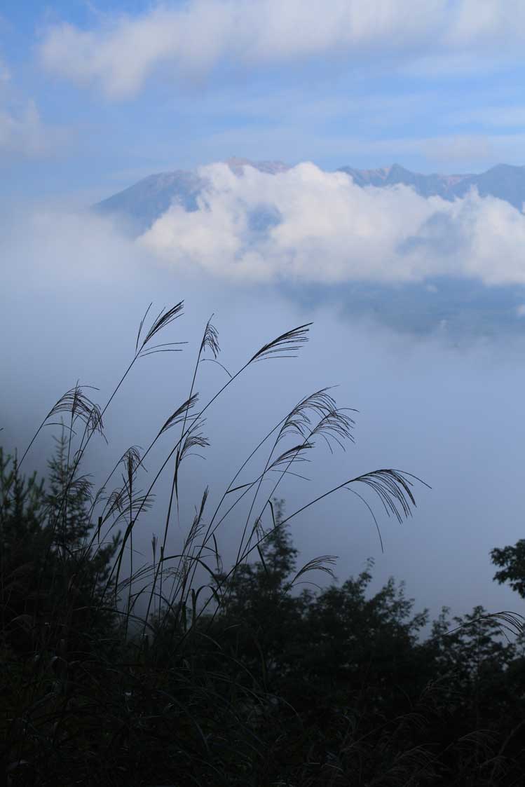 d0177549_2023261.jpg