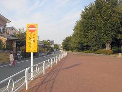 c0001653_2245717.jpg