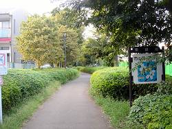 c0001653_22475312.jpg