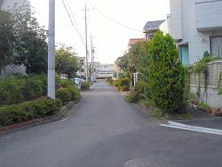 c0001653_22552679.jpg