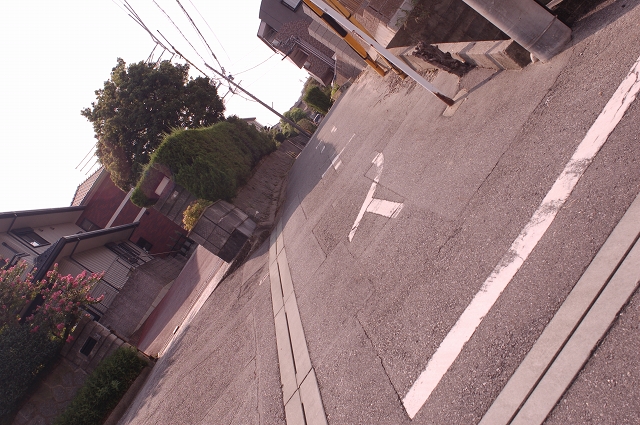 f0225953_1215127.jpg