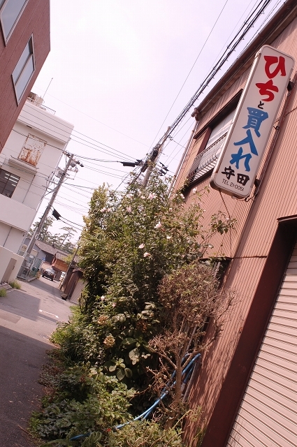 f0225953_193726.jpg
