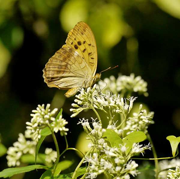 d0091754_010019.jpg
