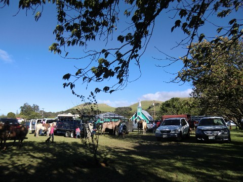 e0033156_1331528.jpg