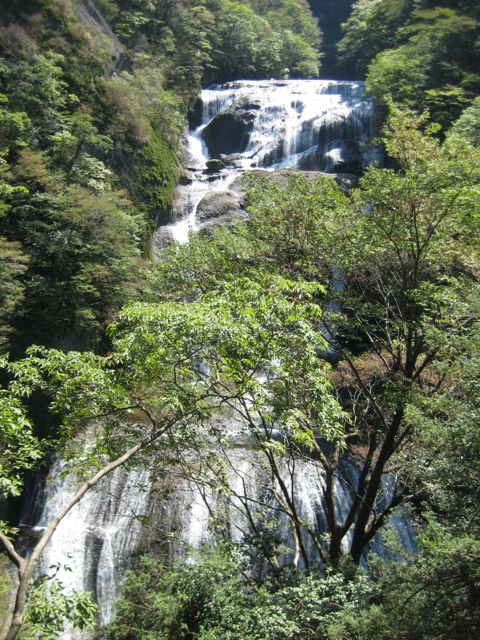 f0191656_2140286.jpg