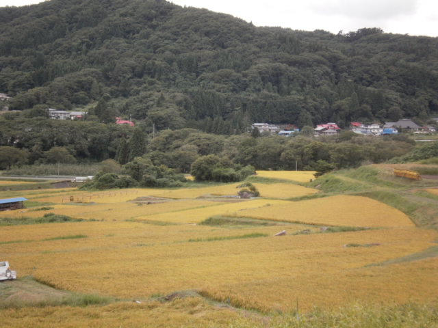 d0154957_1924193.jpg