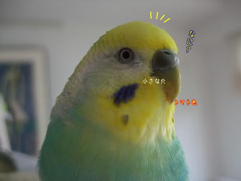 f0149057_23432750.jpg